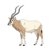 Addax Antelope | Endangered Animals Names