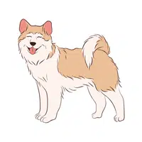Akita | Guard Animals Names