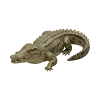 Alligator | Carnivorous Animals Names