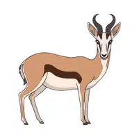 Antelope | Vertebrates Animals Names 