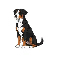 Appenzeller Sennenhund | Guard Animals Names 