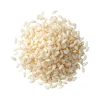 Arborio | Cereals Names 