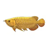 Arowana | Swimming Animals Names