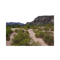 Arroyo 