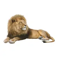 Asiatic Lion | Endangered Animals Names