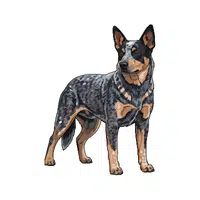 Australian Cattle Dog | Guard Animals Names 