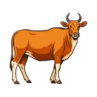 Banteng 