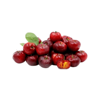 Barbadoscherry | Small Fruits Names