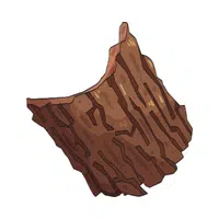 Bark | 100 Natural Things Names