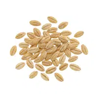 Barley | Cereals Names