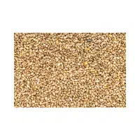 Barnyard Millet | Cereals Names 