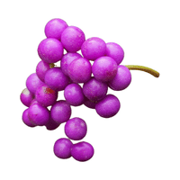 Beautyberry | Small Fruits Names