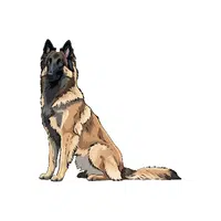 Belgian Tervuren | Guard Animals Names 
