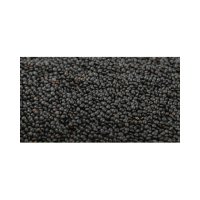 Beluga Lentils | Lentils Names