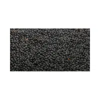 Beluga Lentils | Lentils Names