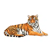 Bengal Tiger | Endangered Animals Names