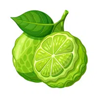 Bergamot 