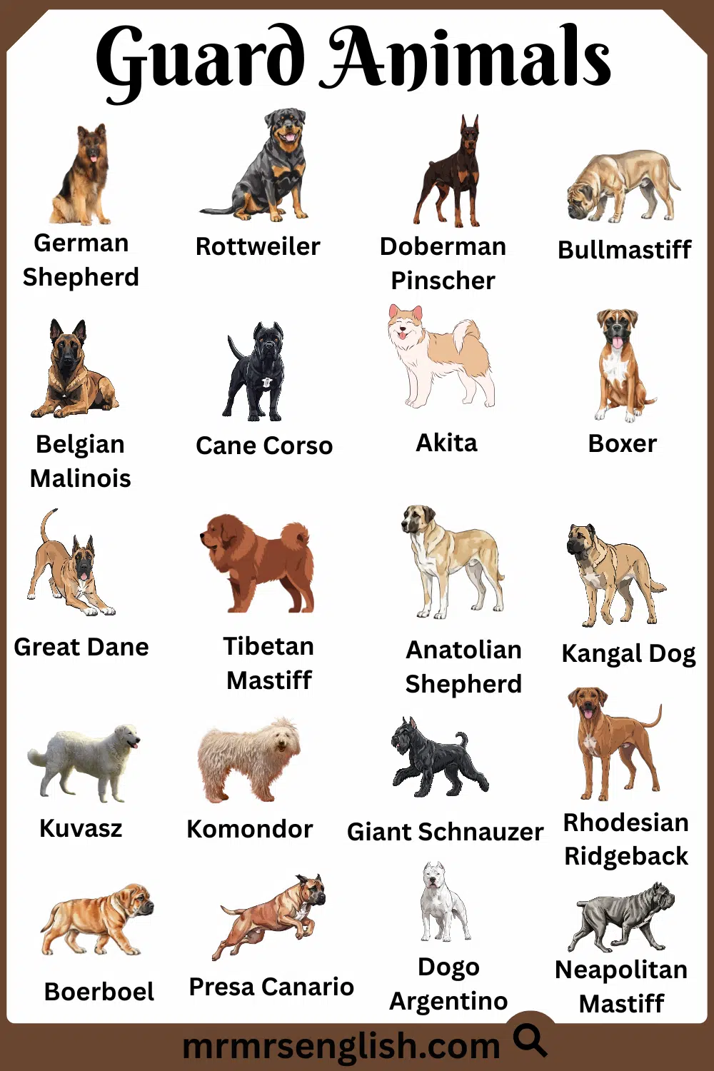 Best Guard Animals for Home with Names and Pictures