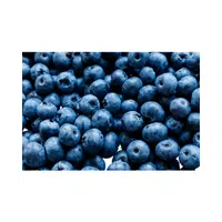 Bilberry | Small Fruits Names 