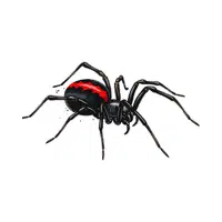 Black Widow 