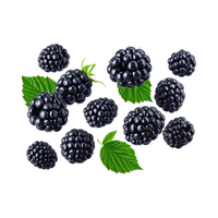 Blackberry | Small Fruits Names