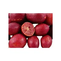 Bloodlime 