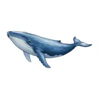 Blue Whale | Endangered Animals Names
