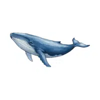 Blue Whale | Largest Animals Names