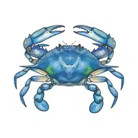 Blue Crab