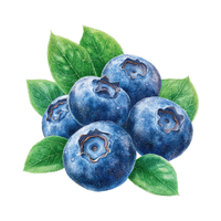Blueberry | Small Fruits Names