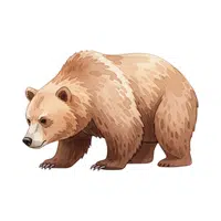 Brown Bear | Largest Animals Names