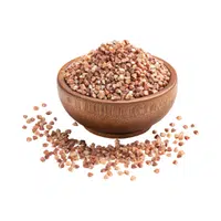 Buckwheat | Cereals Names 