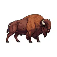 Buffalo | Vertebrates Animals Names