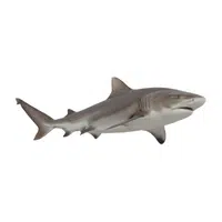 Bull Shark | Carnivorous Animals Names