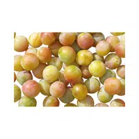 Bullace