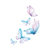 Butterfly | 100 Natural Things Names