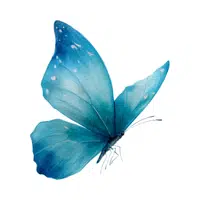 Butterfly | Woodland Animals Names