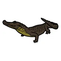 Caiman 