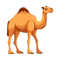 Camel | Friendly Animals Names