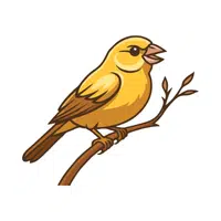 Canary | Friendly Animals Names