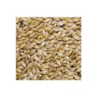 Canaryseed | Cereals Names 