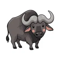 Cape Buffalo | Largest Animals Names