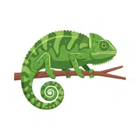 Chameleon 