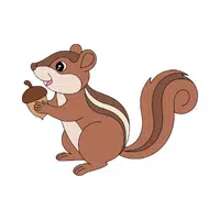 Chipmunk | Woodland Animals Names