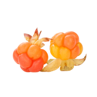 Cloudberry | Small Fruits Names