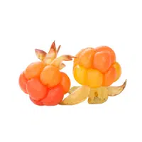 Cloudberry | Small Fruits Names