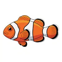 Clownfish | Swimming Animals Names