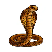 Cobra | Vertebrates Animals Names 