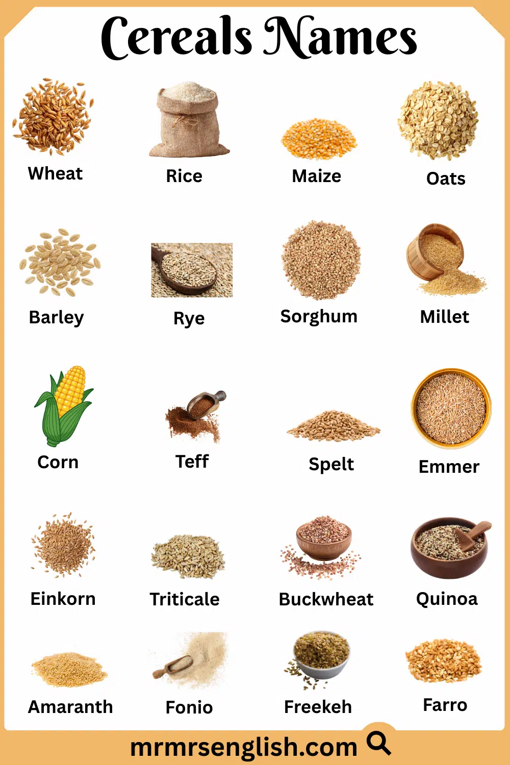 Common Cereals Names with Pictures