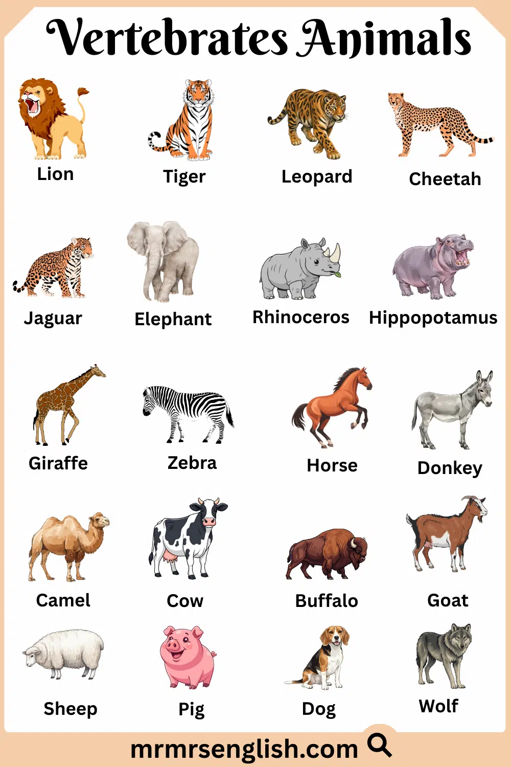 Common Names of Vertebrates Animals with Pictures